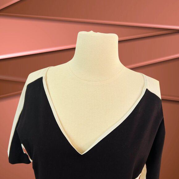 ✨ Chic & Flattering Ann Taylor V-Neck Color-block Dress ✨ - Picture 3 of 8